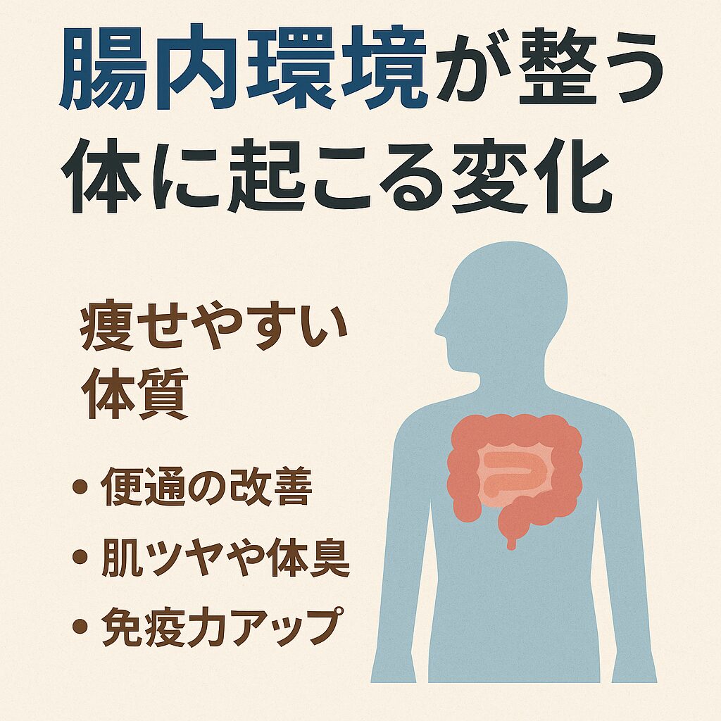 腸内環境が整うと体に起こる変化
