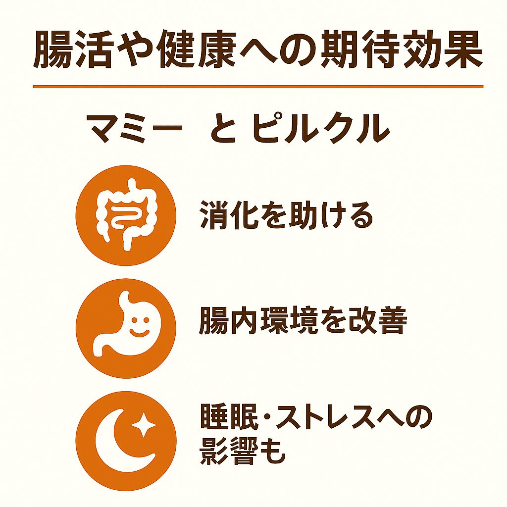 腸活や健康への期待効果