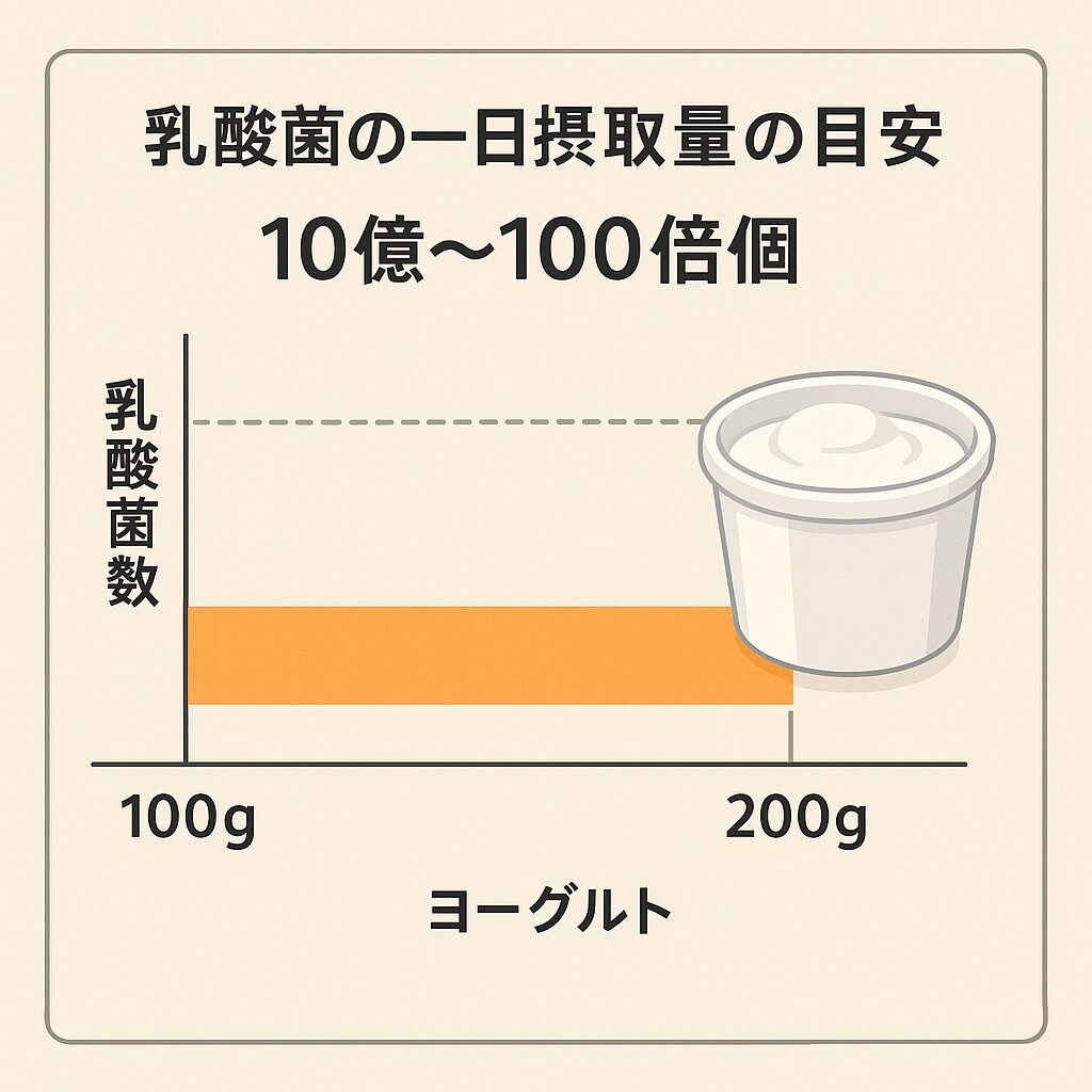 ヨーグルト100g〜200gで乳酸菌の一日目安量を満たすイメージ(