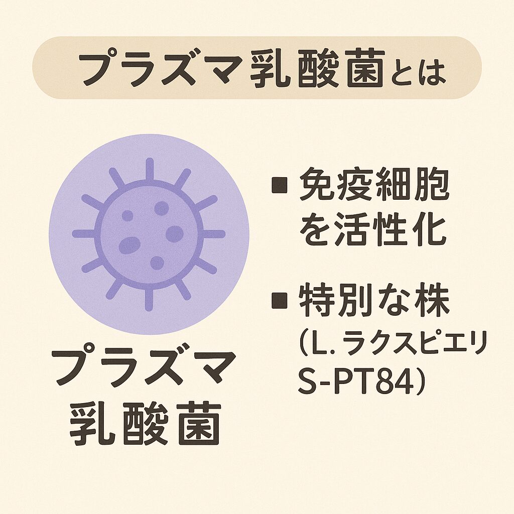 プラズマ乳酸菌を解説する図解。紫色の菌イラストとともに「免疫細胞を活性化」「特別な株(L. ラクスピエリ S-PT84)」と説明が書かれている。