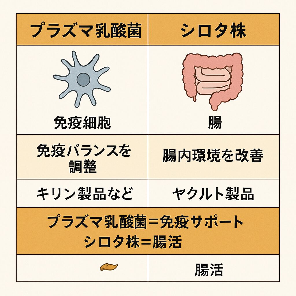 プラズマ乳酸菌とシロタ株の違いを比較する表。作用部位(免疫細胞/腸)、期待される効果、関連製品を整理し、免疫サポート=プラズマ乳酸菌、腸活=シロタ株と強調している。