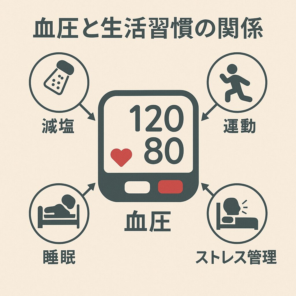 血圧と生活習慣の関係を示す図解。減塩・運動・睡眠・ストレス管理が血圧コントロールに重要であることを視覚的に説明