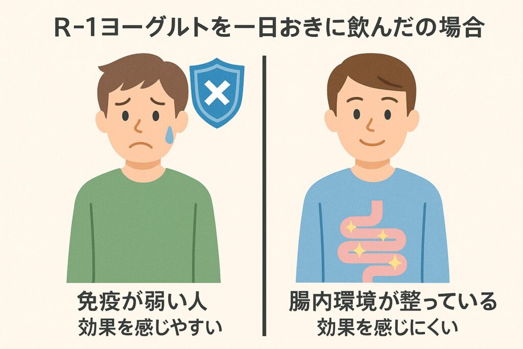 R-1ヨーグルトを一日おきに飲んだ場合、免疫が弱い人と腸内環境が整っている人で効果の感じ方が異なる様子を示すイラスト。