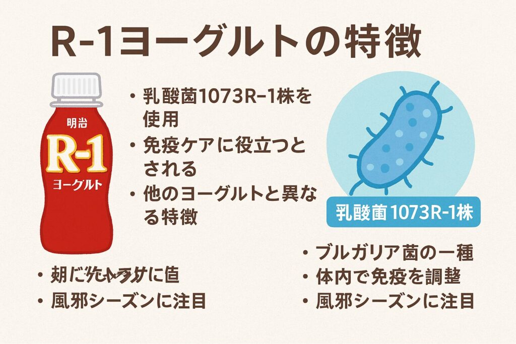 明治R-1ヨーグルトの特徴を紹介する図解。乳酸菌1073R-1株の働きや免疫ケアへの役立ち方、他のヨーグルトとの違いをやさしくまとめた健康情報イラスト。